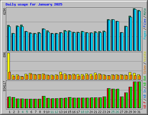 Daily usage for January 2025