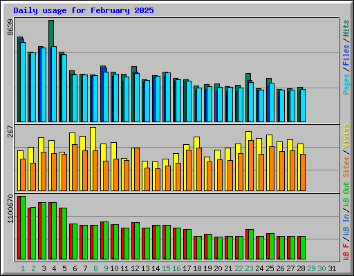 Daily usage for February 2025