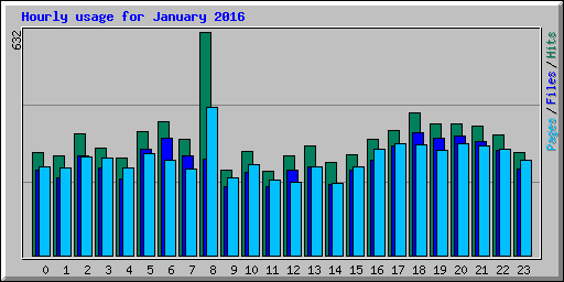 Hourly usage for January 2016