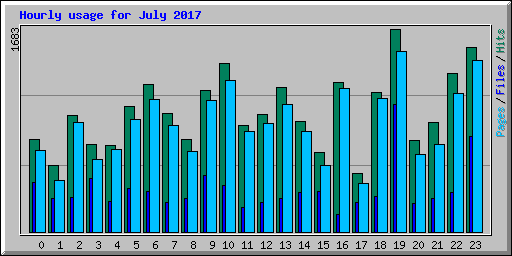 Hourly usage for July 2017