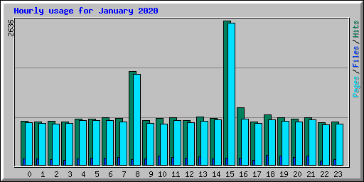 Hourly usage for January 2020