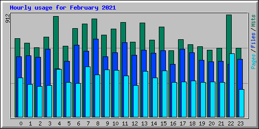 Hourly usage for February 2021