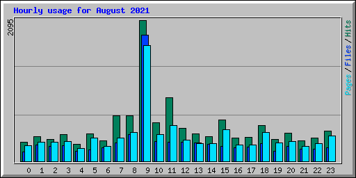 Hourly usage for August 2021