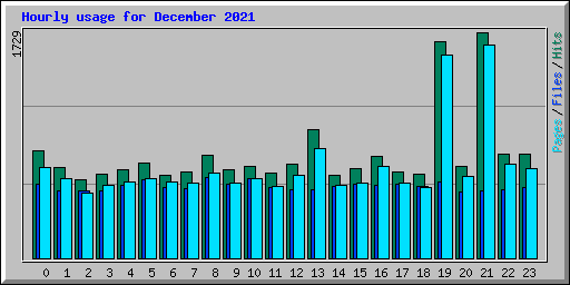 Hourly usage for December 2021