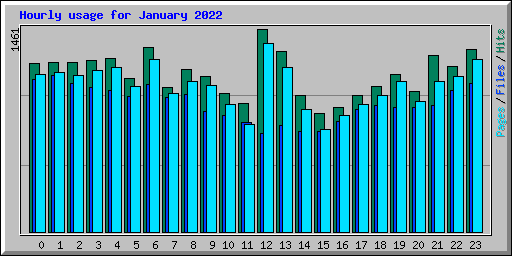 Hourly usage for January 2022