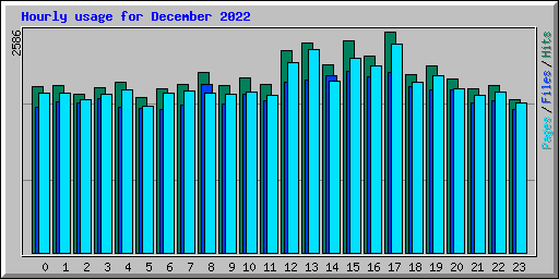 Hourly usage for December 2022