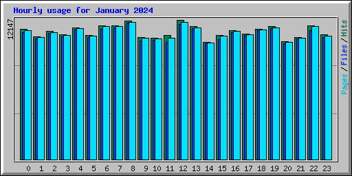 Hourly usage for January 2024