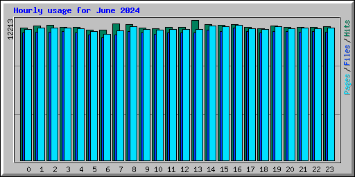 Hourly usage for June 2024