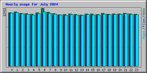 Hourly usage for July 2024