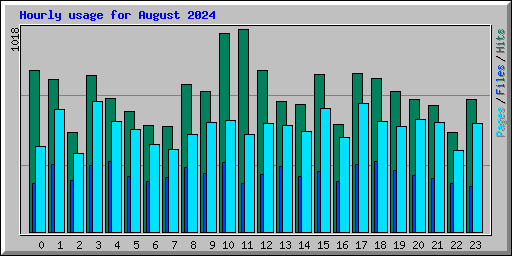 Hourly usage for August 2024