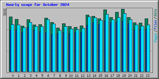 Hourly usage for October 2024