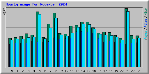 Hourly usage for November 2024