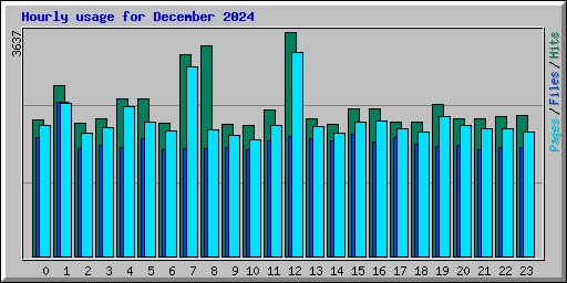Hourly usage for December 2024