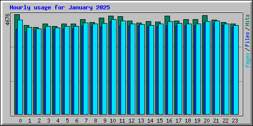 Hourly usage for January 2025