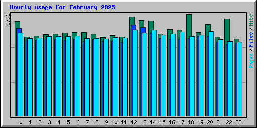 Hourly usage for February 2025