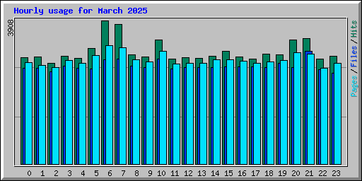 Hourly usage for March 2025