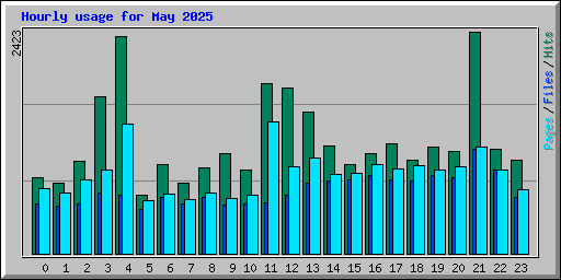 Hourly usage for May 2025