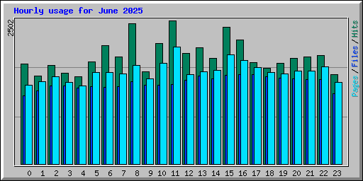 Hourly usage for June 2025