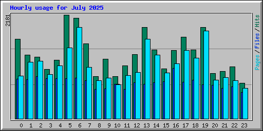 Hourly usage for July 2025
