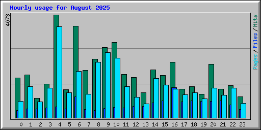 Hourly usage for August 2025