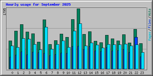 Hourly usage for September 2025