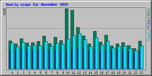 Hourly usage for November 2025