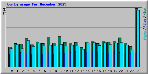 Hourly usage for December 2025