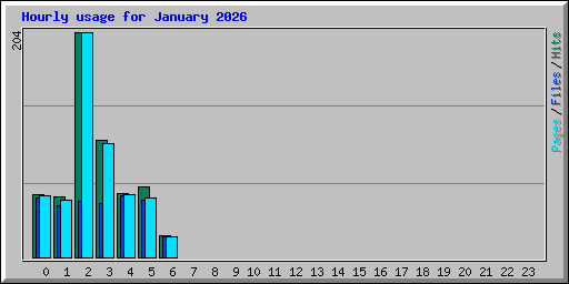 Hourly usage for January 2026