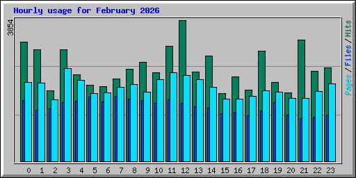 Hourly usage for February 2026